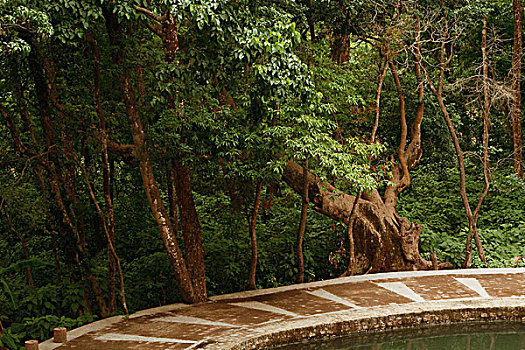 xsmn thu 2 hang tuan minh ngoc