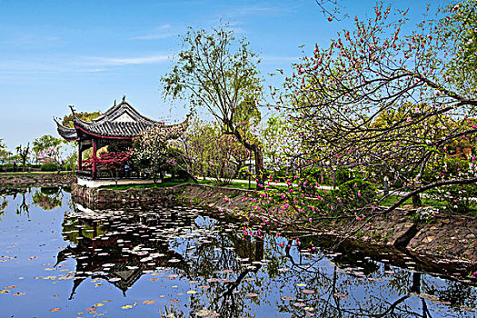 dự đoán xổ số đại phát