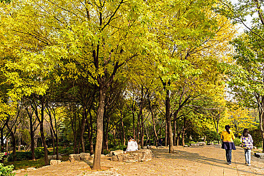 soi cầu phạm tuấn