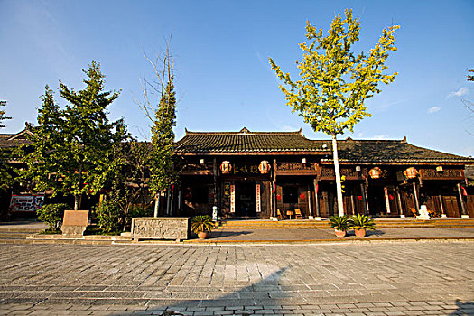 soi cau bach thu