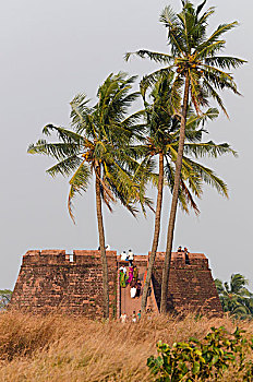 soi cầu xổ số miền