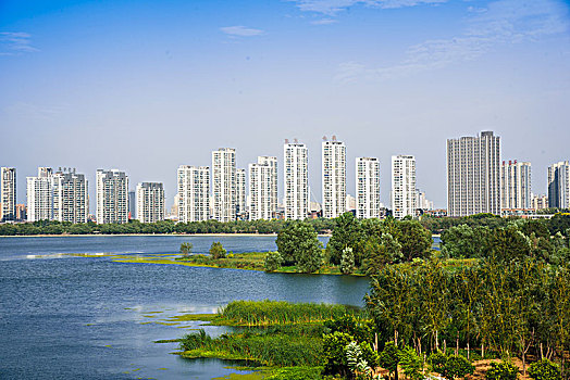 lô bạch thủ hôm nay miễn phí