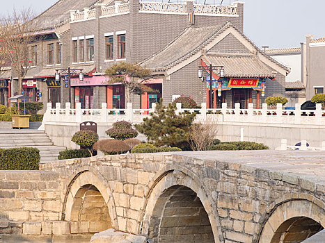 bạch thu lo