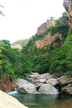 loto rong bach kim