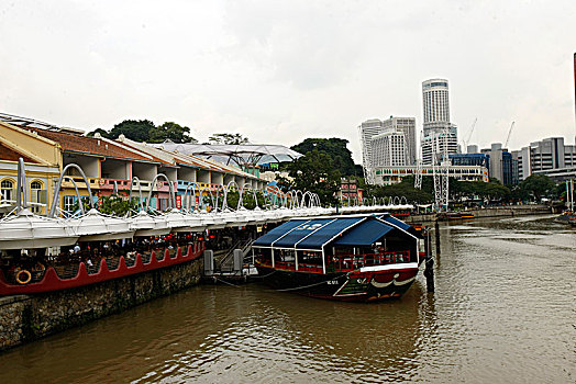 bạch thủ lô hôm nay là con gì