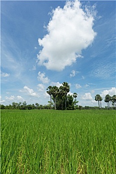 thống kê xổ số vũng tàu