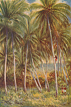 lo kep khung 3 ngay rong bach kim