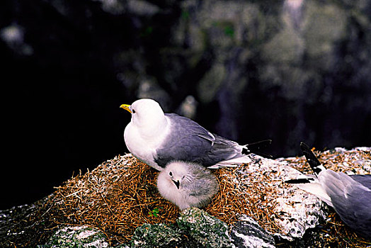kqxs phu yen