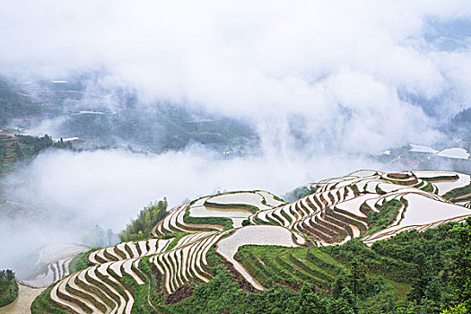 soi cau 247 net bach thu khung ngay