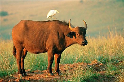 đề miền bắc ngày hôm nay